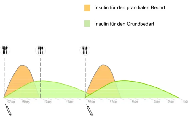 Abbildung 3: Insulinwirkprofil der konventionellen Insulintherapie. Zweimalige Gabe von Misch- Misch-insulin, bestehend aus Normalinsulin und NPH-Insulin