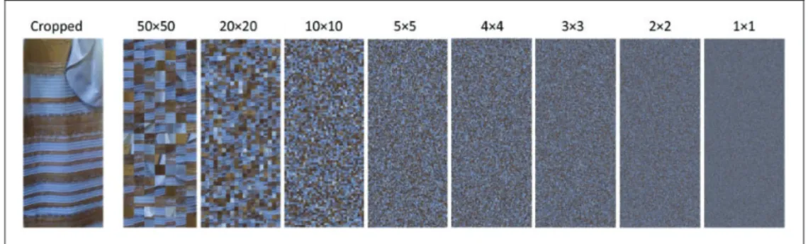 Figure 1. Selection of stimuli used for testing the impact of illumination information; cropped image rectangle selected from the original digital photo (leftmost) and several scrambled variants with decreasing side length of scramble squares (i.e., increa