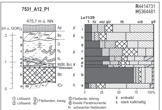 Abb. 3:  Korngrößenverteilung in den Deckschichten der Langweider Hoch- Hoch-terrasse nördlich vom Bärenkeller (Aufschluss A12).