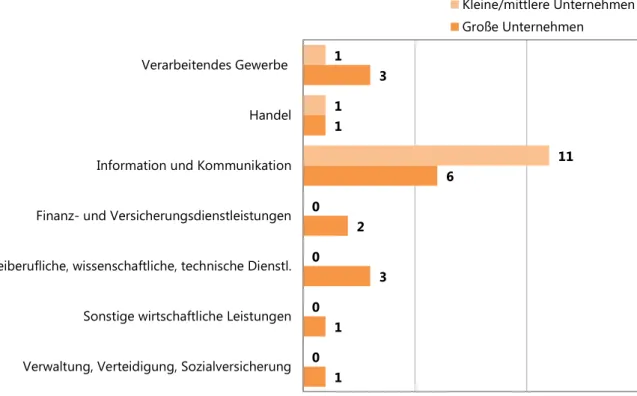 Abbildung 2 zeigt die Zuordnung der Unternehmen aus dem Informatikbereich zu  Wirtschaftszweigen (Statistisches Bundesamt, 2008)