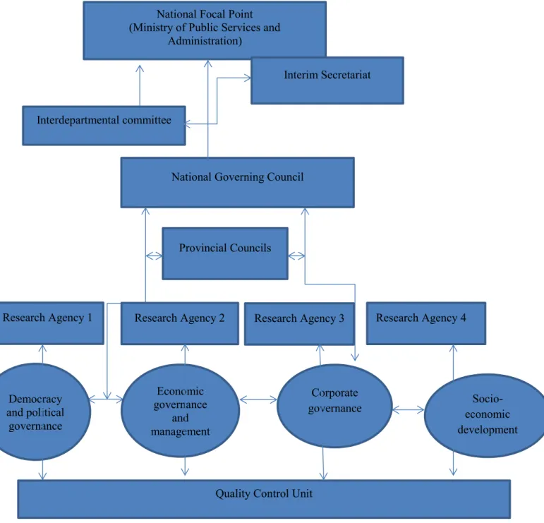 Figure 1: Governance Structure of the South African Review Process, Author’s Illustration      