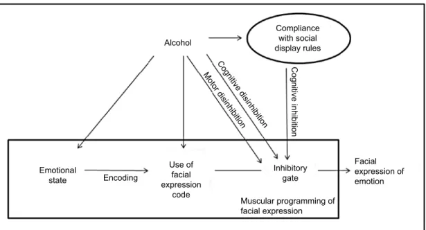 Figure 1 Heuristic model of facial emotion processing.