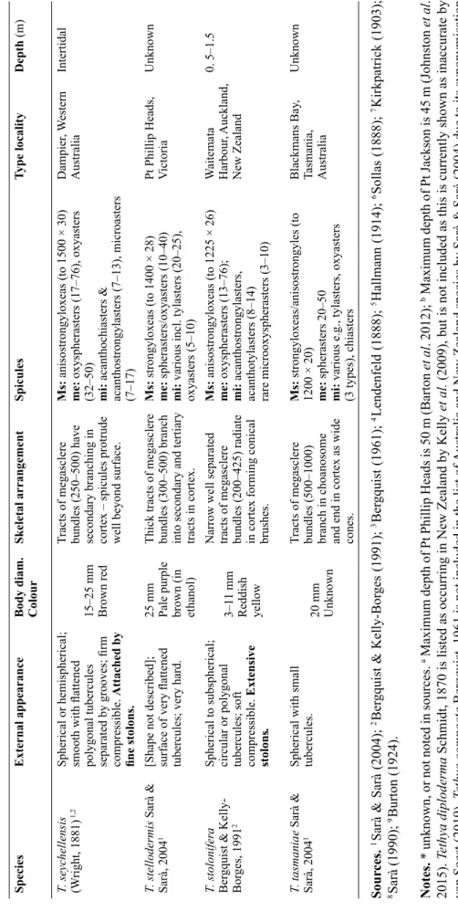 Table 2 (continued). Comparison of morphology between species of Tethya Lamarck, 1815 from Australia and New Zealand.