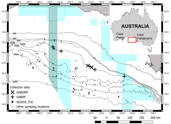 Fig. 1. Sites where Tethya irisae sp. nov. was collected in the Great Australian Bight, including sites that  were sampled where the sponge was not found