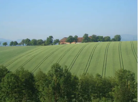 Abb. 1:  Blick Bauernhof mit Streuobstwiese (Foto: Technisches Büro Eisner) 