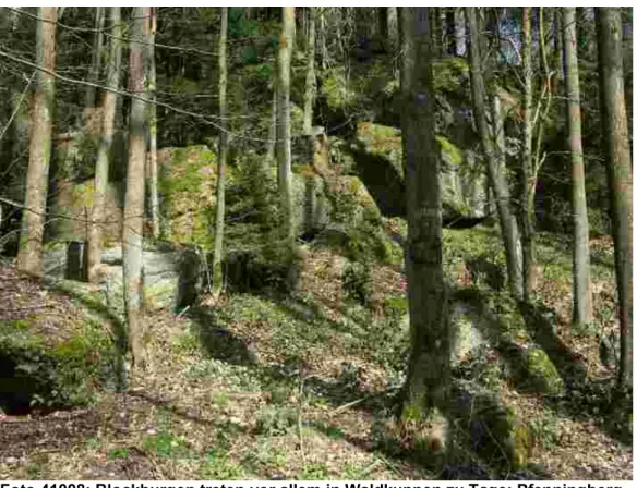 Foto 41008: Blockburgen treten vor allem in Waldkuppen zu Tage; Pfenningberg.