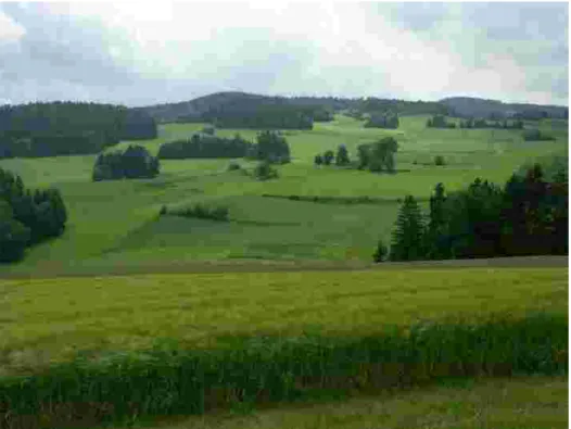 Foto 41009: Blick auf eine kleine, strukturreiche Hochlagen-Offenlandschaft einer Waldhufenflur in Kirchberg bei Hirschbach mit zahlreichen Stufenrainen.