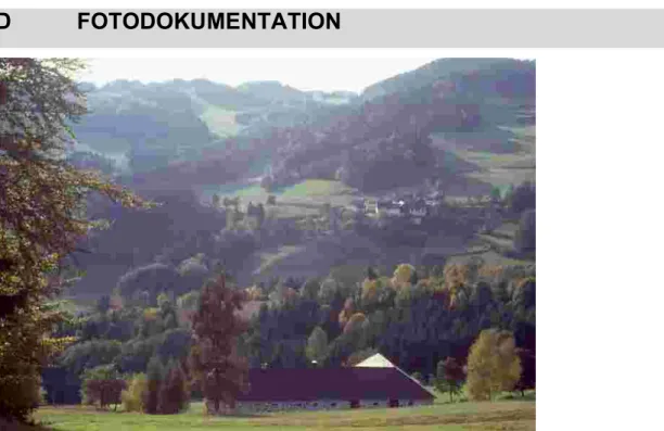 Foto 41001: Kleinteilige Kulturlandschaft mit starker Verwaldungsdynamik an den Einhängen zum Tal der Kleinen Gusen bei Hirschbach