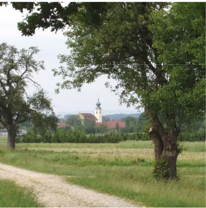 Abb. 1:  Hofkirchen, Blick vom Trattnachtal (Foto: Gabriele Bassler) 