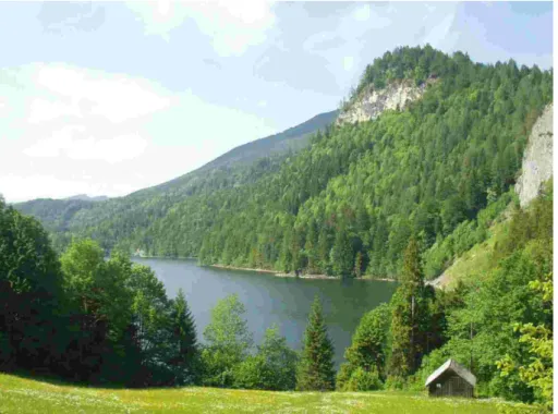 Foto 24003: Schwarzensee, im Hintergrund ausgedehnte Waldlandschaft
