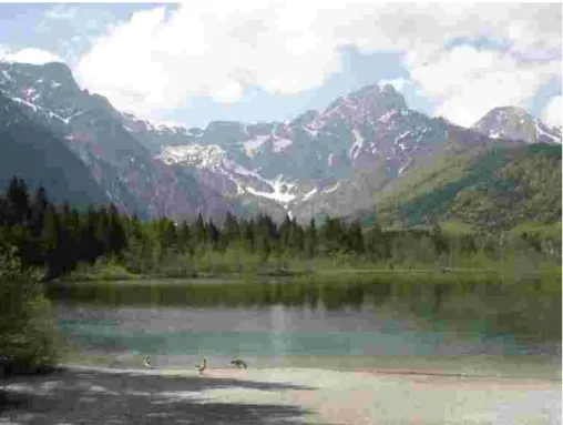 Foto 24009: Almsee mit Totem Gebirge