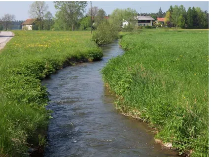 Foto 21008: Enknach bei Oesterlehen, nördlich von Neukirchen: begradigter Bachverlauf, kaum  Uferbestockung, intensive Nutzung bis an den Gewässerrand 
