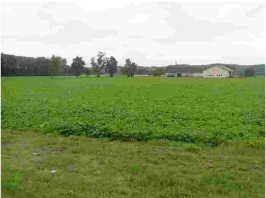 Foto 17003: Ackerbaulich genutzte Landschaft bei der Schwaigau