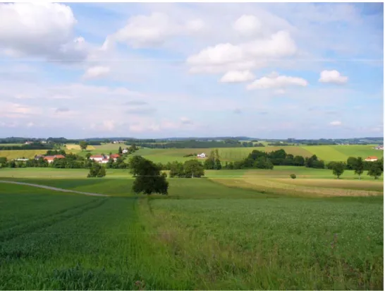 Abb. 7:  Landschaft bei Pudexing im Teilgebiet 2 (Foto: A. Lichtenecker)