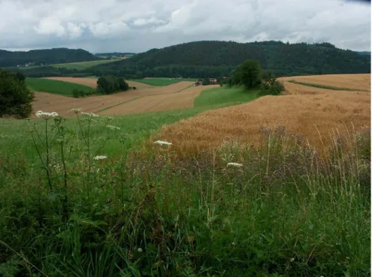 Abb. 1: Von Waldhügeln beherrschter Landschaftsbereich im Süden des Gemeindegebietes – bei Pfaffendorf (Foto: Nadler/TB Haug)