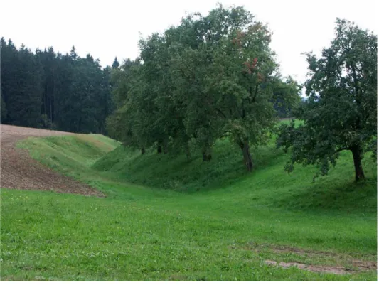 Abb. 13: Gut erhaltener Wiesengraben bei Kronberg (Foto: Nadler/TB Haug)