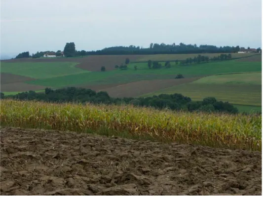 Abb. 15: Ausblick bei Großkrottendorf, Agrarlandschaft mit geringer Mostobstausstattung (Foto: