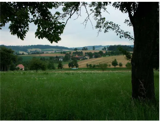 Abb. 5: Reich durch Obstbaumbestände gegliederte Landschaft in Geigen (Foto: Nadler/TB Haug)
