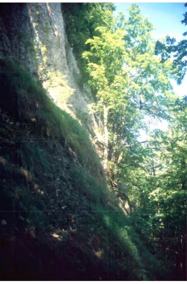 Foto 12010: Steiler Schotterabbruch am Hobelsberg.  