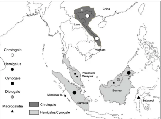 Fig. 1. Map showing the distribution of the samples of Hemigalinae used in this study