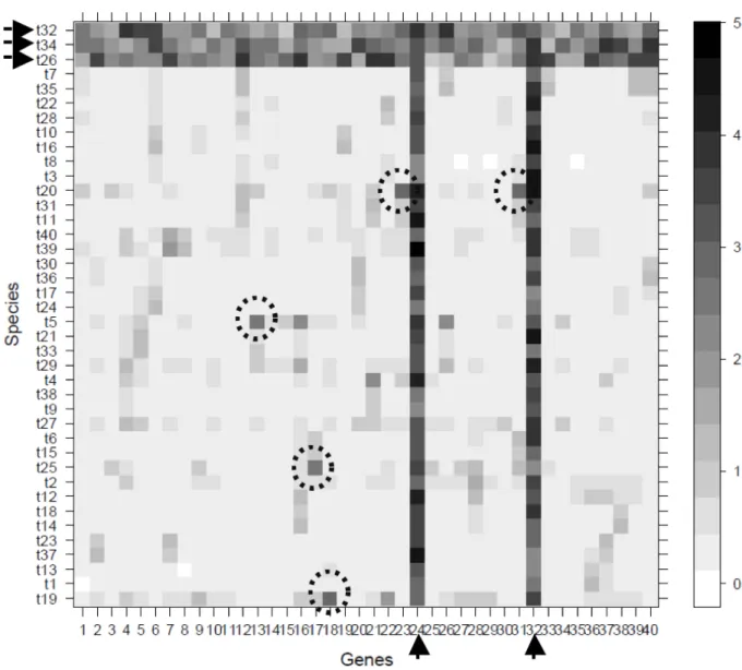 Fig. 3. Typical output of Phylo-MCOA. A matrix containing as many rows as the number of species and  as many columns as the number of genes was computed, in which complete (black arrows) and  cell-by-cell (dashed circles) outliers can easily be detected