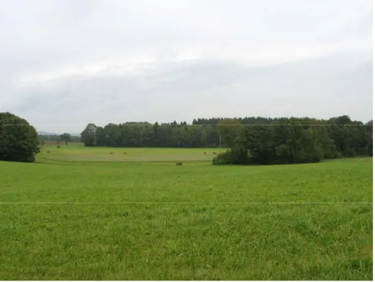 Abb. 6: Blick in Richtung Osten im nördlichen Bereich von Altenberg bei Pelmberg. Zu sehen sind relativ große Agrarflächen und im Mittelbereich des Fotos Ufergehölzstreifen.