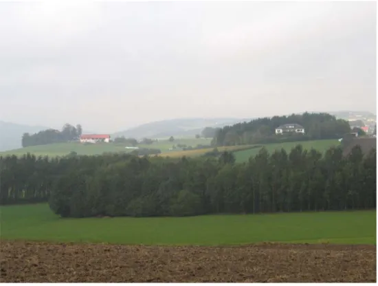Abb. 14: Blick von der Ortschaft Oberbairing in Richtung Kitzelsbach. Im Vordergrund des Bildes sind Laubwaldflächen zu sehen