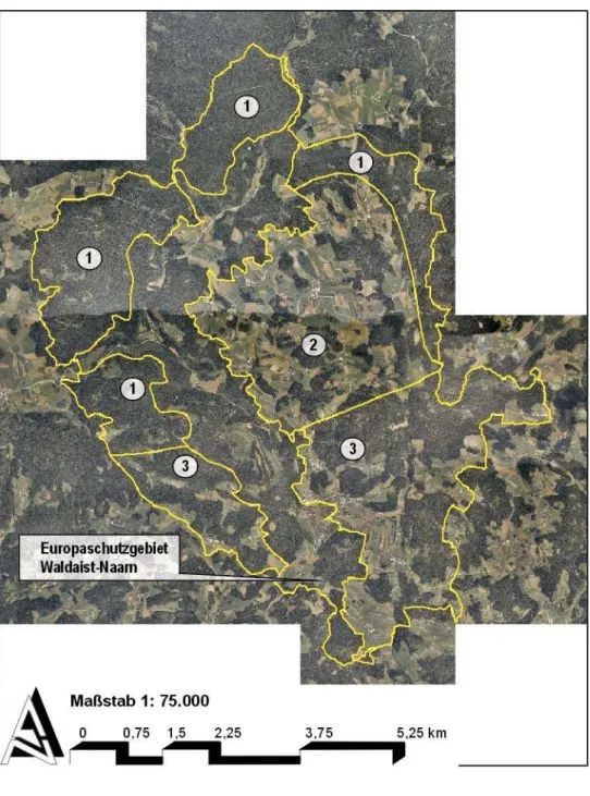Abb. 2: Orthophoto mit Teilgebietsabgrenzungen Teilgebiet 1 „Bewaldete Umrahmung“