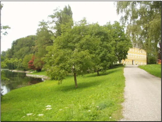 Abb. 5:  Schloss Hagenau 