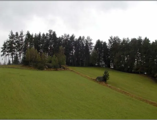 Abb. 3: Steinriegel, Böschung und Granitblock in der landwirtschaftlich genutzten Flur südöstlich Rehberg [Photo: A