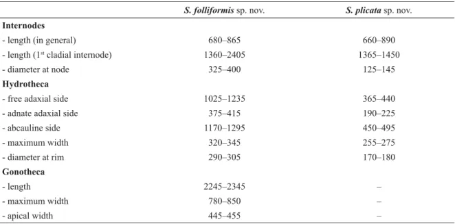 Table 3. Measurements (in μm) of Sertularella folliformis sp. nov. and S. plicata sp. nov.