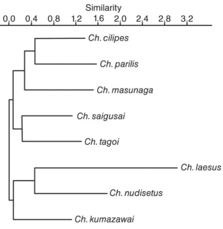 Fig. 6. Consensus cladistic tree of 6 equally parsimonious trees obtained from 20 morphological 