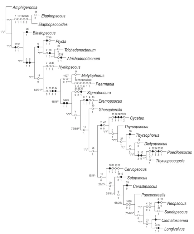 Fig. 3. Generic-level cladogram derived from parsimony analysis of the morphological dataset based on  a heuristic search with 1000 replicates (L = 127, CI = 40, Ri = 59), followed by TBR branch swapping,  with character optimizations, symmetric resampling