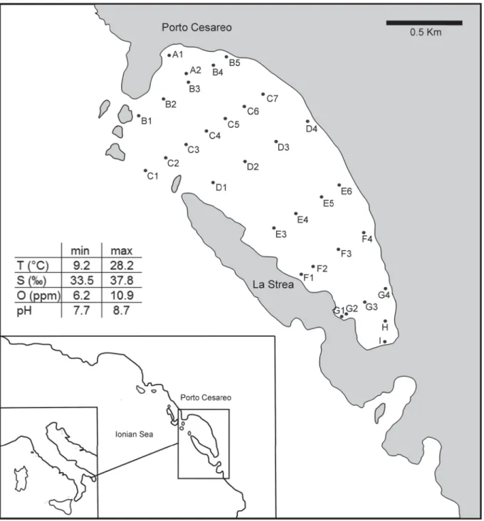 Fig. 1. Location map of the study area and sampling stations and range of selected physico-chemical  parameters of the La Strea Bay (data from Belmonte &amp; Rubino 1988; Mercurio et al