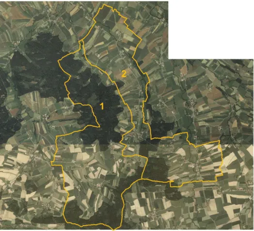 Abb. 2:  Übersichtsplan mit Orthophoto und Teilgebietsabgrenzungen  Teilgebiet 1 „Kuppen, Täler und Gaugshamer Wald“ 