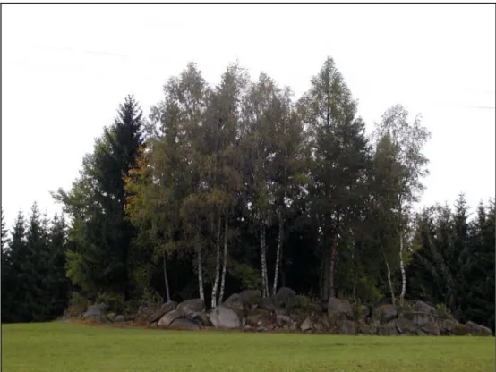 Foto  1: Gehölzbestandener, natürlicher (Granit-)Steinriegel südwestlich Ebenort [Photo: S