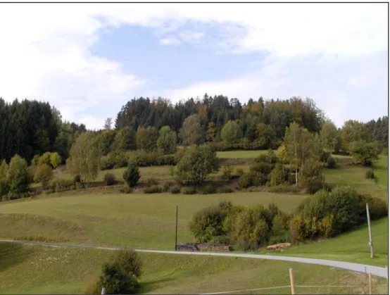 Foto  3: Böschungs- und Heckenlandschaft westlich Nadelberg; Böschungen mit Halbtrockenrasencharakter [Photo: S.