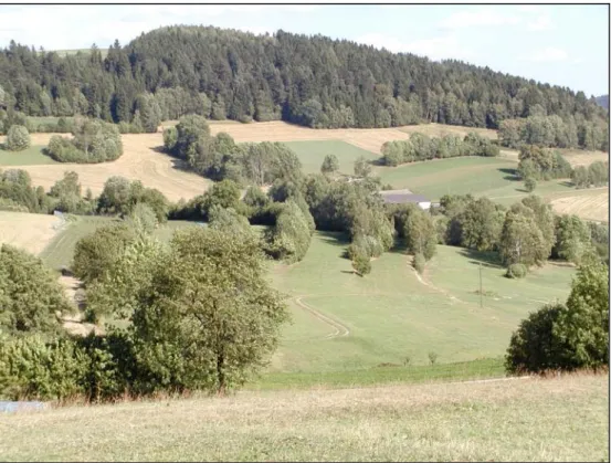 Abb. 3: Hecken- und Böschungslandschaft südöstlich Oberrauchenödt