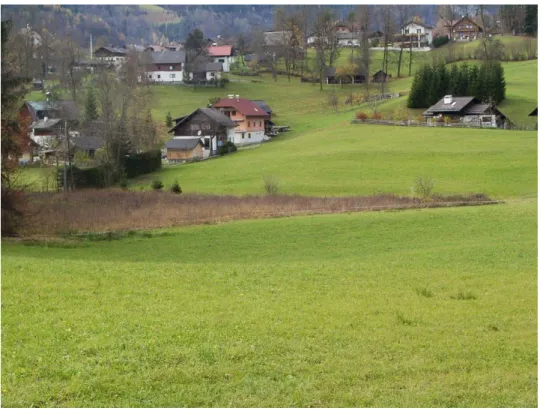 Foto 11: Besonders naturnahe Streuwiese mit charakteristischer Siedlungsstruktur in der Ortschaft Untersee östlich von Steeg (FNr