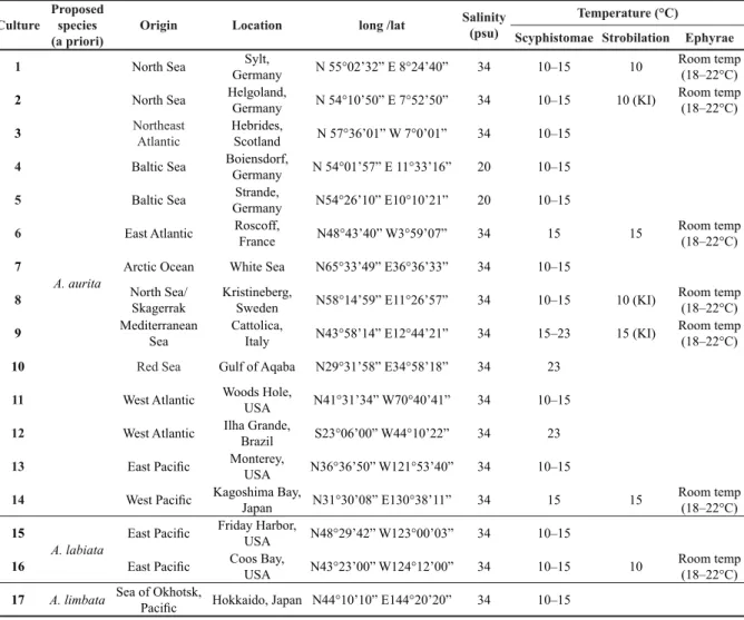 Table 1. Origin, salinity and incubation temperature of 17 different cultures of Aurelia sp