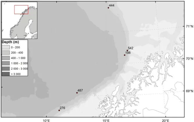 Fig. 1. Part of the MAREANO survey area off northern Norway, with indications of stations where  Halirages helgae sp