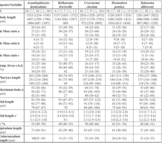 Table 1. Mean (range) of morphological measures for fi  ve nematode species of the subfamily  Desmodorinae from the Punta Francés coral reef, Cuba