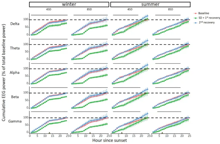 Figure 7.  Seasonal differences in cumulative NREM sleep EEG power after sleep deprivation