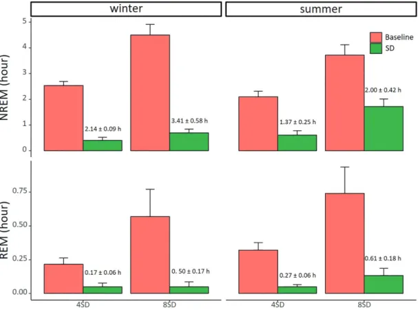 Figure 4.  Sleep deprivation efficacy. Sleep deprivation efficacy (4 and 8 h) in winter (left panels, 4SD: n = 8; 8SD n = 6) and summer (right panels, 4SD: n = 7; 8SD n = 8)  for NREM sleep (top panels) and REM sleep (bottom panels)