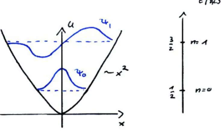 Abbildung 4.1: Eindimensionaler Oszillator hni = ∞ X n=0 n p(n) = Z 0Z Xn ne −β ~ ωn = Z 0Z ·  − ∂∂β ~ ω ZZ 0  = e −β ~ ω1−e−β ~ ω = 1e−β~ω − 1 (4.3) Dies ist die Bose-Einstein -Verteilung.