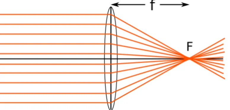 Abbildung 1.1: Versuchsaufbau zur Bestimmung der Brennweite einer Konvexlinse mit einem Maßstab und Schirm.