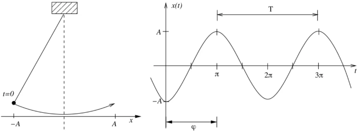Abbildung 3.7: Bewegung des Pendels im Raum und mit der Zeit Eine harmonische Schwingung wird beschrieben durch die Gleichung