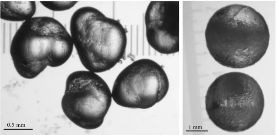Fig. 2.2: Microscopy images of tumbled particles: left image shows