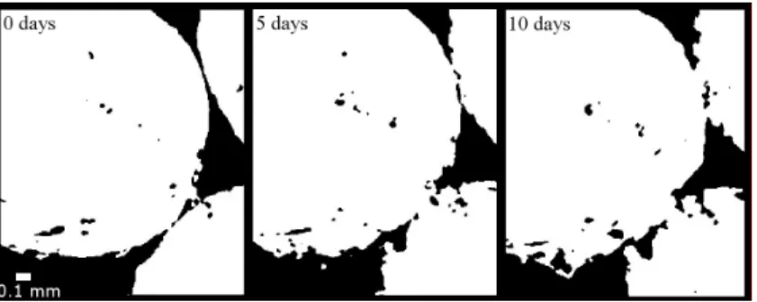 Fig. 3.10: High resolution (6 µm) CT scans of ice beads, after zero, five and ten days sintering