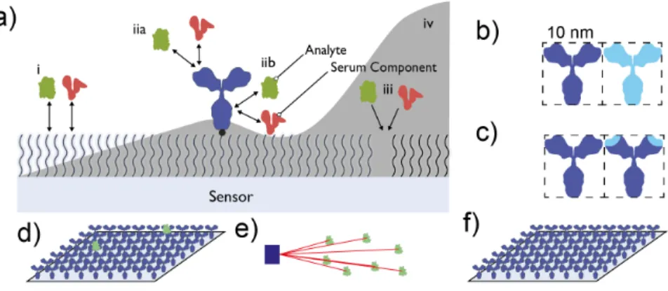 Figure 1.4: Interferences and constraints in a molecular recognition systems and how they dictate the design of an ideal molecular sensor a) environmental noise sources on a sensor in contact with a biologically complex medium (i) nonspecific binding to th